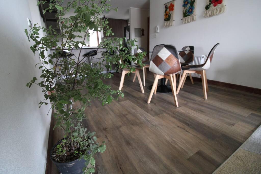 Tuarriendocl-mpha106 Gran Depto En Pto Varas 3d2b 6pax Sin Vista Primer Piso Con Jardin Puerto Varas